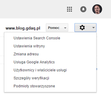 ustawienia w google search console